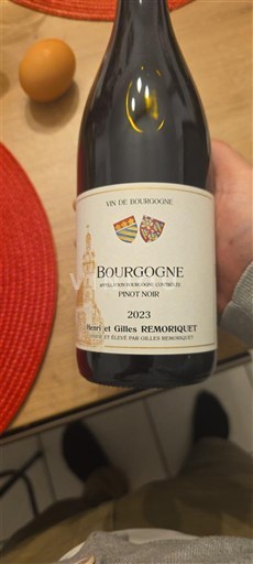 Bourgogne Hervé et Gilles Remoriquet 2023