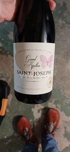 Thung lũng Rhône Saint-Joseph Grand Papillon 2024 Không niên vụ