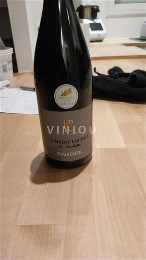 Thung lũng sông Loire Bourgueil Domaine Les Pins Les Rochettes Không niên vụ