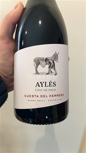 Aragón Niet gespecificeerd Aylés Cuesta del Herrero 2023