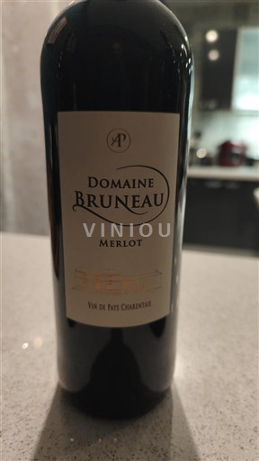 Sudoeste No especificado Domaine Bruneau 2019