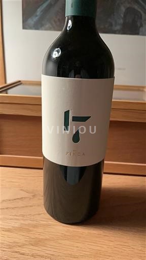 Castiglia e León Ribera del Duero Pinea 17 2019