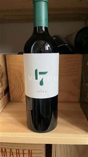 Castille et León Ribera del Duero Pinea 17 2019