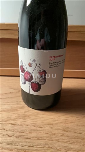 Castiglia e León Ribera del Duero Bodegas El Primerizo El Primerizo 2016