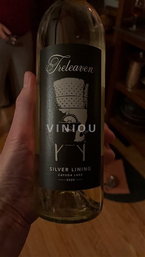 Østkysten AVA Finger Lakes (New York) Treleaven White Blend Silver Lining 2020