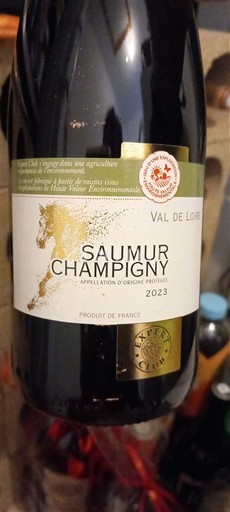 Vin Rouge sec Château Château 2023 France Vallée de la Loire Saumur-champigny AOC