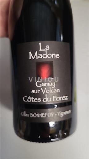 Valea Loarei Côtes-du-forez La Madone Gamay sur Volcan Nemilésimat