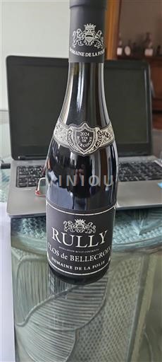 Burgundy Rully Domaine La Folie Clos de Bellecroix 2024