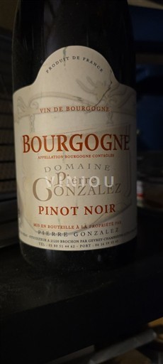 Bourgondië Bourgogne Domaine Pierre Gonzalez Pinot Noir Niet-geïntegreerd