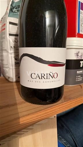 Languedoc và Roussillon Thánh-Guilhem-le-Désert Mas des Agrunelles Cariño 2013