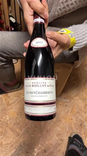 Bourgogne Gevrey-chambertin Domaine Louis Boillot & Fils 2017