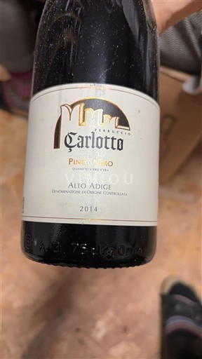 Víno Rouge sec Pinot Nero Carlotto 2014 Itálie Tridentsko-Horní Adiže Horní Adiže DOC