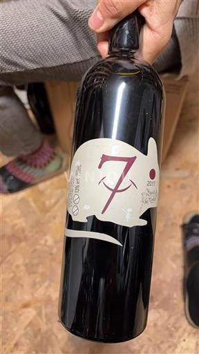 Sud-Ovest Béarn Domaine Causse 7 2017