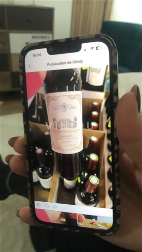 Bordeaux Castillon-côtes-de-bordeaux Château Fongaban 2021