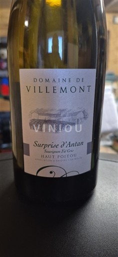 Poitou-Charentes Haut-poitou Domaine Villemont Surprise d'Antan 2024