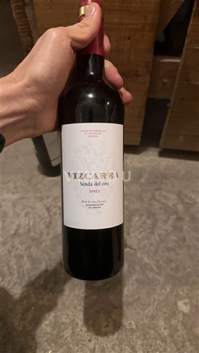 Castilia și León Ribera del Duero Vizcarra Senda del Oro 2023
