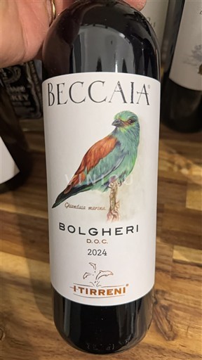 Toscana Bolgheri I Tirreni Beccaia 2024