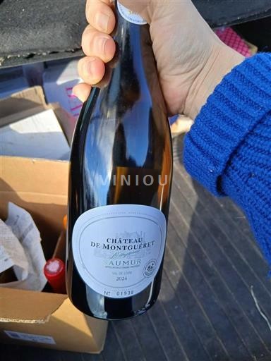 Loire Valley Saumur Château Montgueret 2021