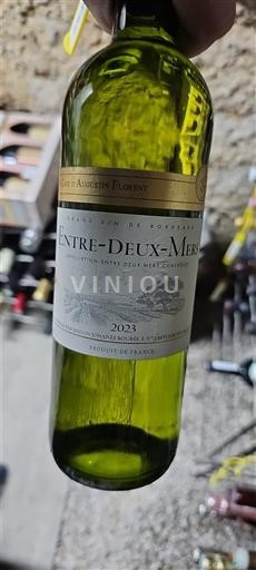 Weine Blanc sec Cave d'Augustin Florent 2023 Frankreich Bordeaux Entre-deux-Mers AOC