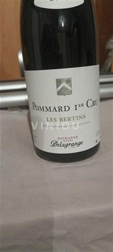 Bourgogne Ikke specificeret Premier Cru Domaine Lagrange Les Bertins 2017