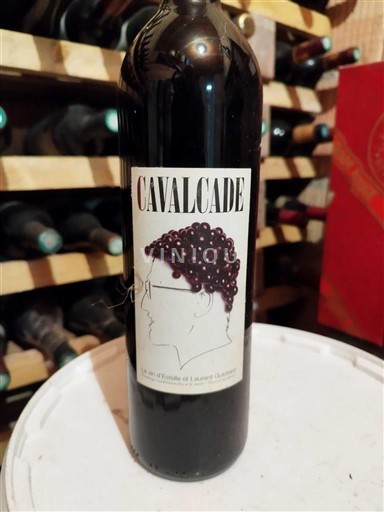 Loire Valley Saumur-Champigny Le Vin d'Yvonne & Laurent Chatenay Cavalcade Non-Vintage