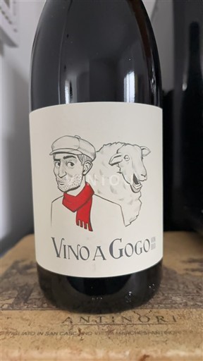 Languedoc Vino a Gogo Non Millésimé