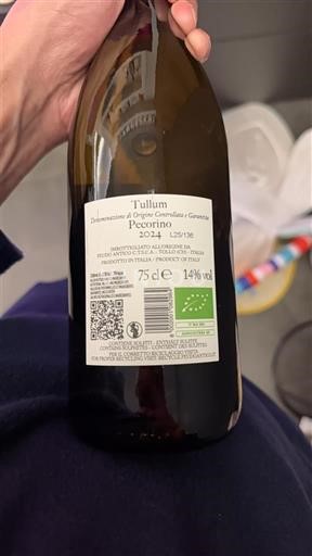 Abruzzerne Ikke specificeret Feudo Antico Pecorino 2024