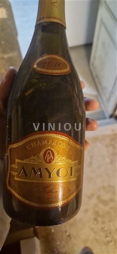 Šampanja Šampanjec Amyot 2010