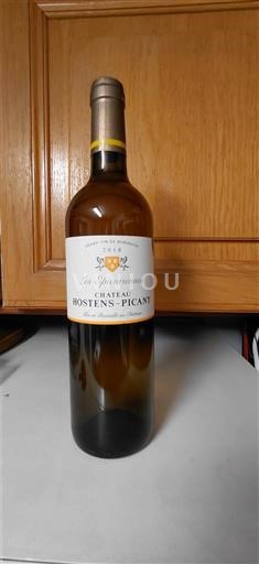 Bordeaux Sainte-Foy-Bordeaux Château Hostens-Picant Les Grands Vins de Bordeaux Les Gravières 2018