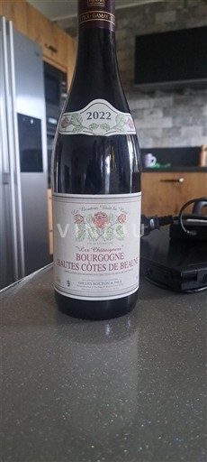 Burgundy Unspecified Domaine Gaston & Pierre Ravaut 2022