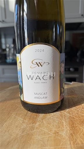 Vin Blanc sec Muscat Andlaw Domaine Wach 2024 France Alsace AOC