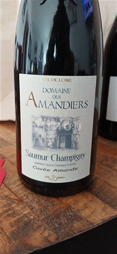 Valle della Loira Saumur-Champigny Domaine S Amandiers Amande 2023