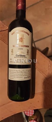 Aragon Carinena Cardenal Cascajares 1995