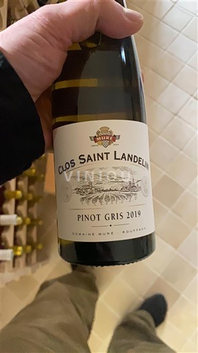 Alsace Không được chỉ định Domaine Muré Clos Saint Landelin 2019