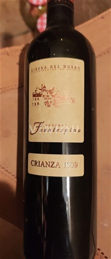 Castilië en León Ribera del Duero Bodegas Fuentespina Crianza 1999