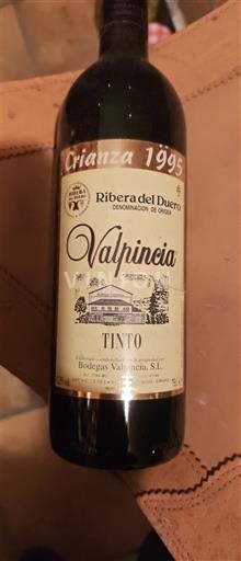 Castilië en León Ribera del Duero Bodegas Valpincia Crianza 1995