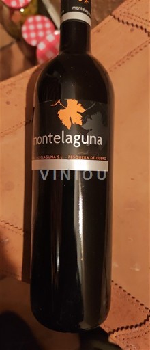 Castilië en León Ribera del Duero Montelaguna 2010