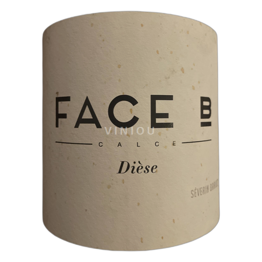 Southwest Face B Calce 2019