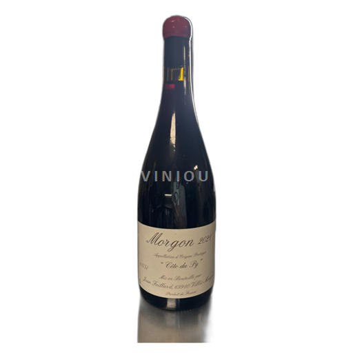 Beaujolais Morgon Domaine Jean Foillard Côte du Py 2021