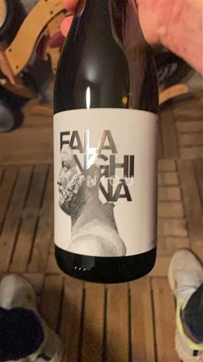 Wijnen Blanc sec Puglia 2024 Italië Campanië Falanghina del Sannio DOC