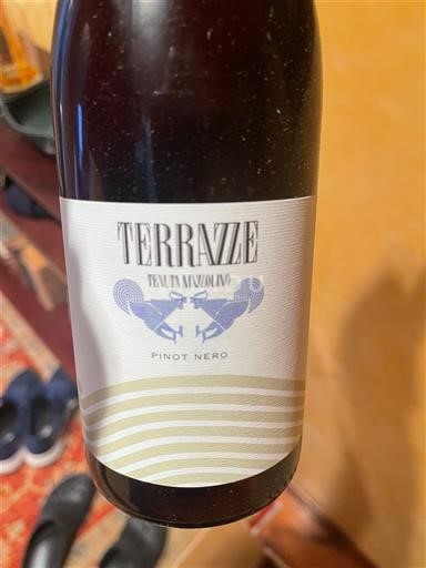 Lombardy Oltrepò Pavese Tenuta Mazzolino Terrazze 2024