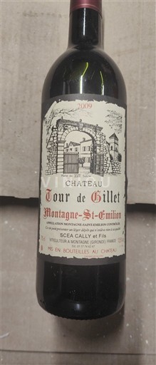 Bordeaux Montagne-saint-émilion Château Tour de Gillet 2009