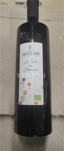 Vale do Ródano Côtes-do-Ródano Domaine Grand Ribe Le Vin de Demain 2021