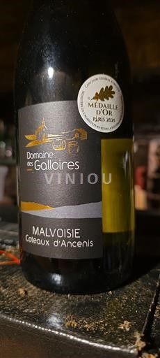 Wines Blanc sec Malvoisie Domaine S Galloire 2024 France Loire Valley Coteaux d'Ancenis AOC