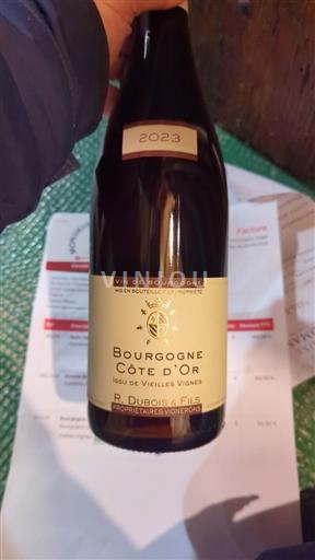 Borgogna Borgogna Côte d'Or R. Dubois & Fils 2023