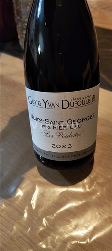 Burgundy Nuits-Saint-Georges Premier Cru Domaine Guy & Yvan Dufouleur Les Poulettes 2023