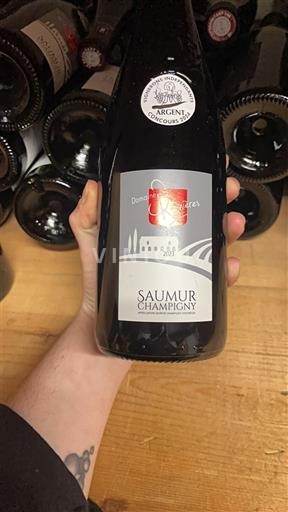 Loire-dalen Saumur-Champigny Domaine S Sablonnettes 2023