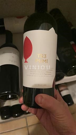 Wines Rouge sec Tre Pumi San Marzano 2021 Italy Puglia Susumaniello Salento IGT