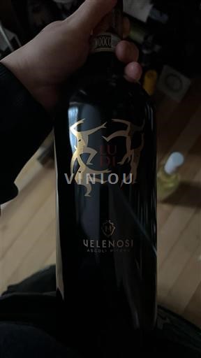Vin Rouge sec Ludi Velenosi 2020 Italie Marche IGT
