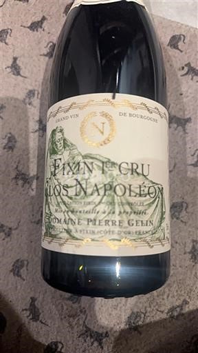 Bourgogne Ikke specificeret Premier Cru Domaine Pierre Gelin Clos Napoléon 2015